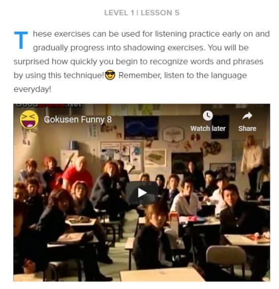 A screenshot of the shadowing technique described in this LinguaLift review