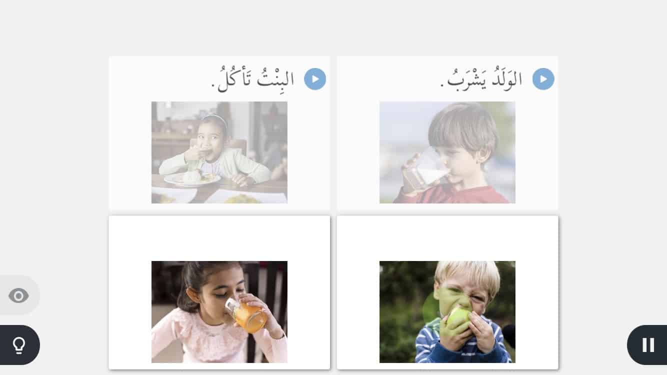 Rosetta Stone Learning Experience Screenshot