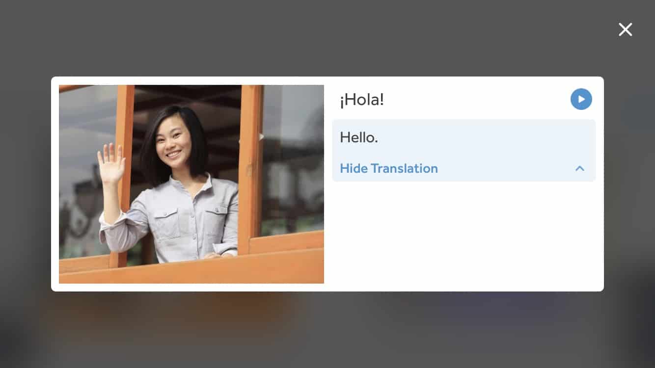 Rosetta Stone Review Embedded Translation Screenshot