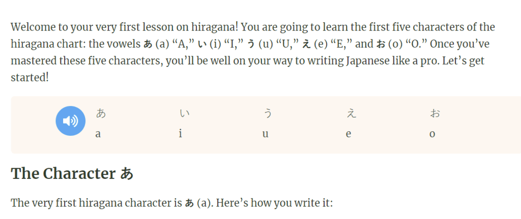 rocket japanese overall