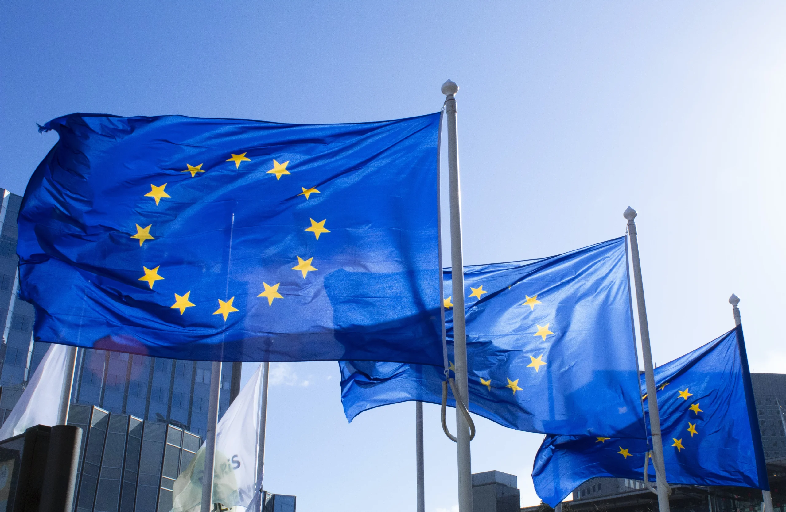 Official Languages of the European Union