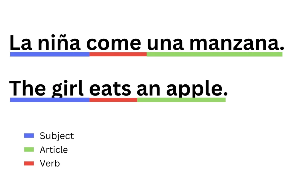 This picture shows you that the Spanish sentence "la niña come una manzana" has the same subject + verb + article order as the English sentence "The girl eats an apple."