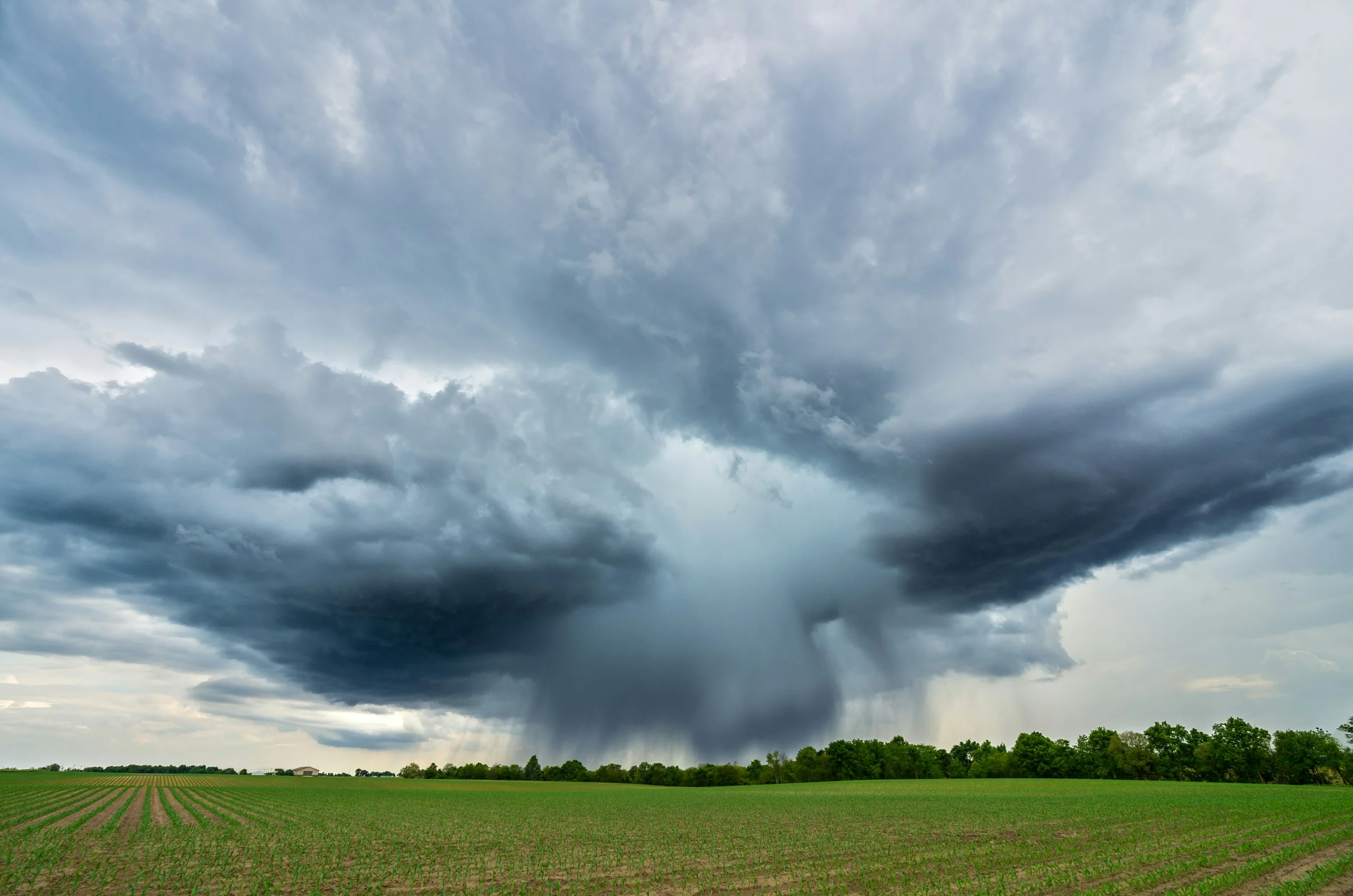 Storm clouds over an open field