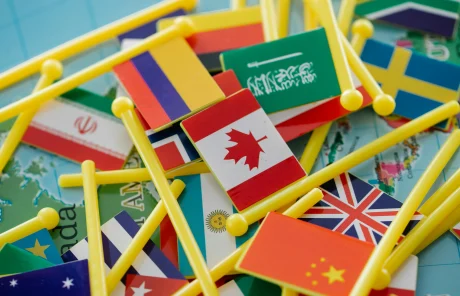 This image shows various toy flags laying over a map.